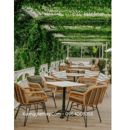 Bàn ghế ăn nhựa giả mây XGN33