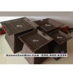 Bộ 4 size khay trưng bày hoa quả