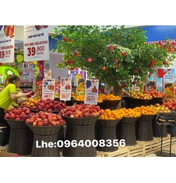 Sọt trưng hoa quả nhựa giả mây KN03